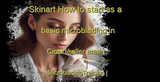 Skinart How to start as a basic microblading in Ciceklikeller area | MicrobladingTraining | MicrobladingClasses | SkinartTraining-Turkey